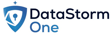 Datastorm One Logo
